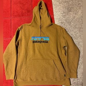 Patagonia Hoodie Mens 3XL
